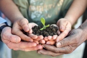 Conceptual closeup environment photo of hands holding a young pl